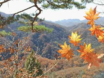 响水50岁吃打胎药能行吗（50岁打胎危险吗）
